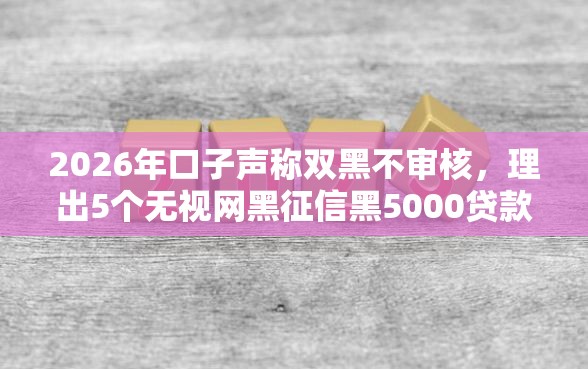 2026年口子声称双黑不审核，理出5个无视网黑征信黑5000贷款口子