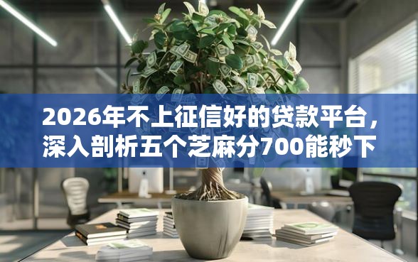 2026年不上征信好的贷款平台，深入剖析五个芝麻分700能秒下的口子