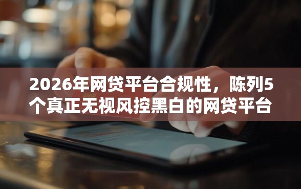 2026年网贷平台合规性，陈列5个真正无视风控黑白的网贷平台