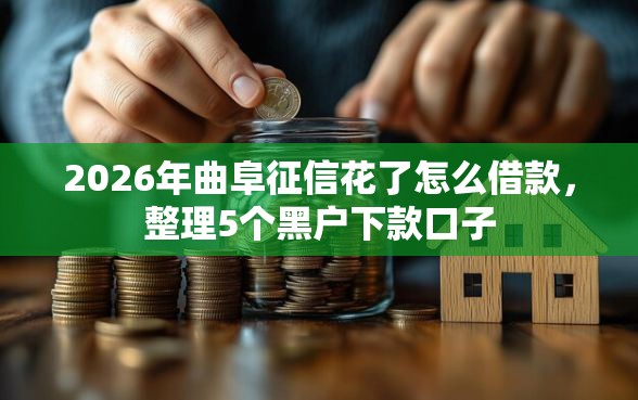 2026年曲阜征信花了怎么借款，整理5个黑户下款口子