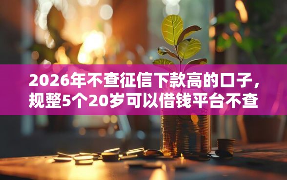 2026年不查征信下款高的口子，规整5个20岁可以借钱平台不查征信的口子