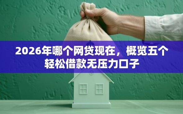 2026年哪个网贷现在,概览五个轻松借款无压力口子 2026年哪个网贷现在,概览五个轻松借款无压力口子