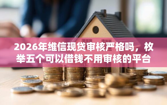 2026年维信现贷审核严格吗，枚举五个可以借钱不用审核的平台