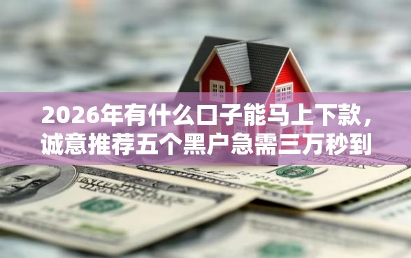 2026年有什么口子能马上下款，诚意推荐五个黑户急需三万秒到的的软件