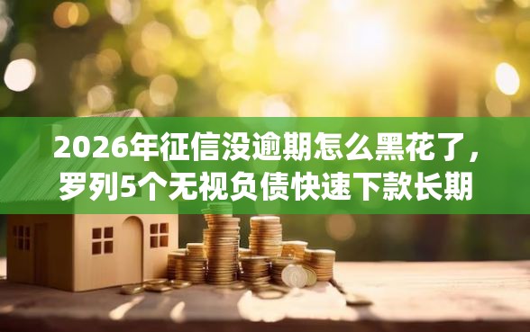 2026年征信没逾期怎么黑花了，罗列5个无视负债快速下款长期网贷的app