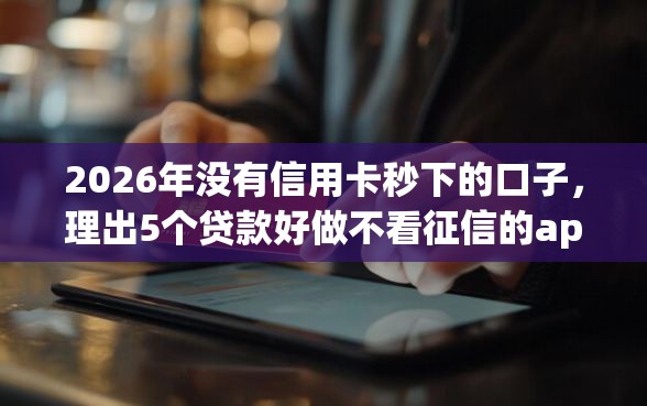 2026年没有信用卡秒下的口子，理出5个贷款好做不看征信的app