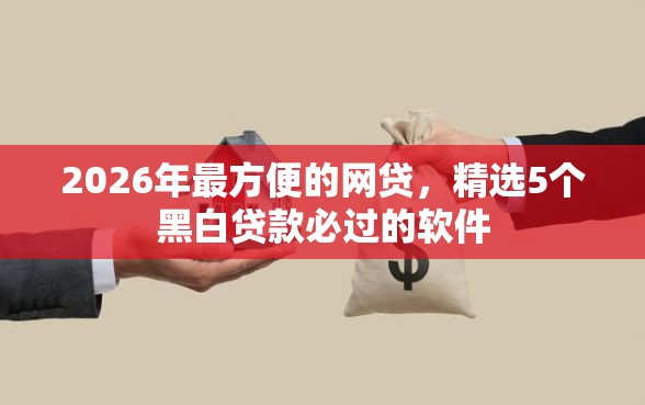 2026年最方便的网贷，精选5个黑白贷款必过的软件
