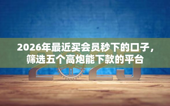 2026年最近买会员秒下的口子，筛选五个高炮能下款的平台