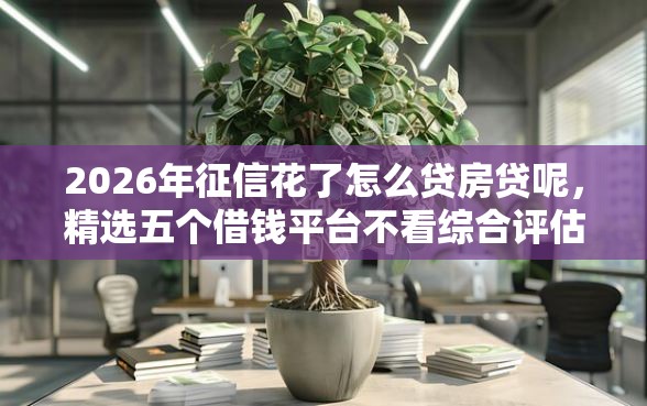2026年征信花了怎么贷房贷呢，精选五个借钱平台不看综合评估的平台