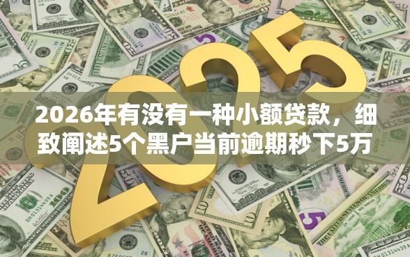 2026年有没有一种小额贷款，细致阐述5个黑户当前逾期秒下5万平台