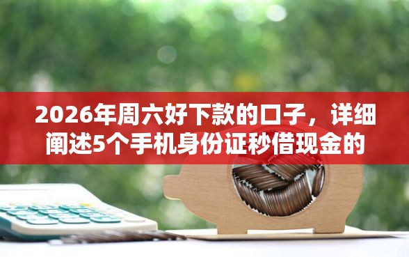 2026年周六好下款的口子，详细阐述5个手机身份证秒借现金的平台