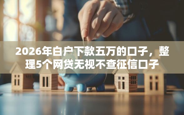 2026年白户下款五万的口子，整理5个网贷无视不查征信口子