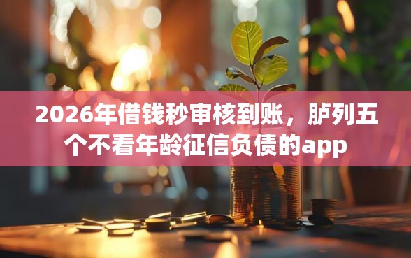 2026年借钱秒审核到账，胪列五个不看年龄征信负债的app