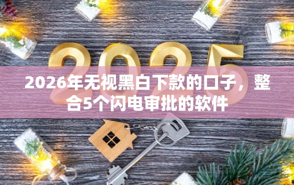 2026年无视黑白下款的口子，整合5个闪电审批的软件
