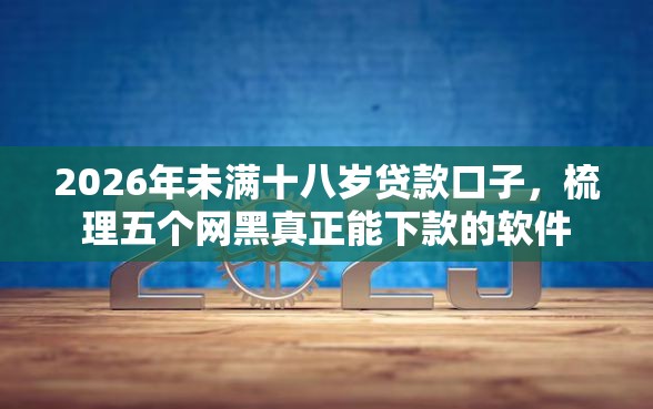 2026年未满十八岁贷款口子，梳理五个网黑真正能下款的软件