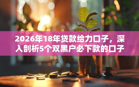2026年18年贷款给力口子，深入剖析5个双黑户必下款的口子
