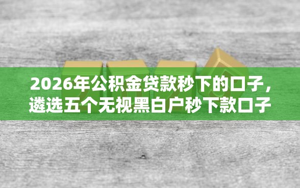 2026年公积金贷款秒下的口子，遴选五个无视黑白户秒下款口子软件