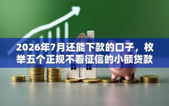 2026年7月还能下款的口子，枚举五个正规不看征信的小额贷款软件
