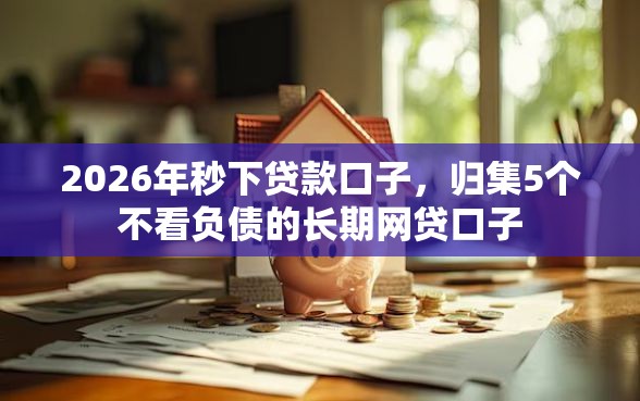 2026年秒下贷款口子，归集5个不看负债的长期网贷口子