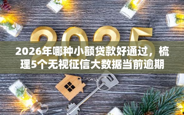 2026年哪种小额贷款好通过，梳理5个无视征信大数据当前逾期下款的口子