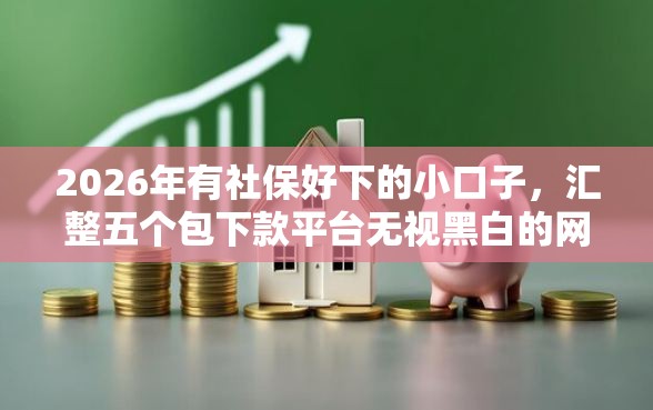 2026年有社保好下的小口子，汇整五个包下款平台无视黑白的网贷