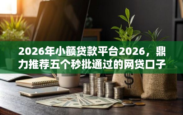 2026年小额贷款平台2026，鼎力推荐五个秒批通过的网贷口子