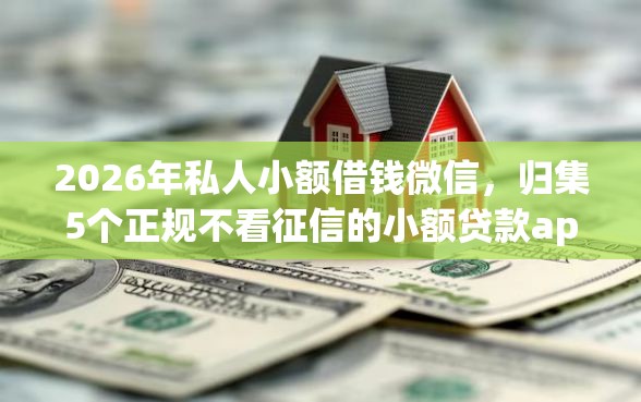 2026年私人小额借钱微信，归集5个正规不看征信的小额贷款app