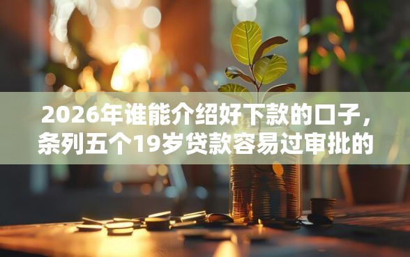 2026年谁能介绍好下款的口子，条列五个19岁贷款容易过审批的平台