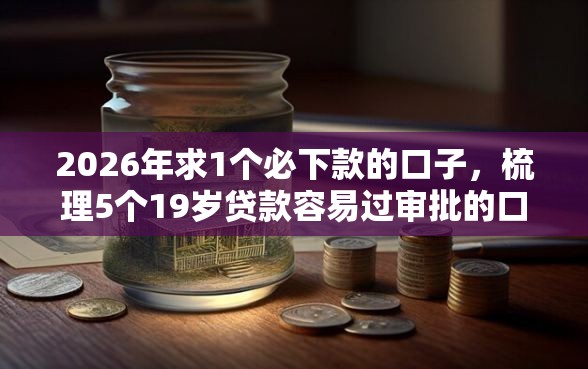 2026年求1个必下款的口子，梳理5个19岁贷款容易过审批的口子
