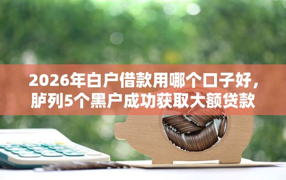 2026年白户借款用哪个口子好，胪列5个黑户成功获取大额贷款的软件