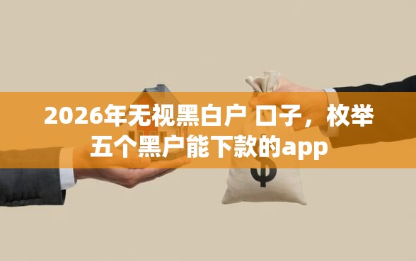 2026年无视黑白户 口子，枚举五个黑户能下款的app