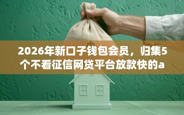 2026年新口子钱包会员，归集5个不看征信网贷平台放款快的app