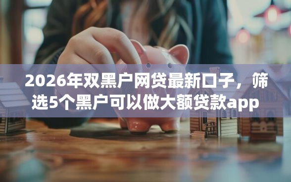 2026年双黑户网贷最新口子，筛选5个黑户可以做大额贷款app