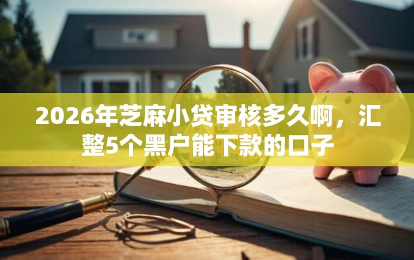 2026年芝麻小贷审核多久啊，汇整5个黑户能下款的口子