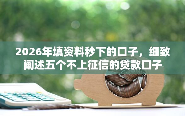 2026年填资料秒下的口子，细致阐述五个不上征信的贷款口子