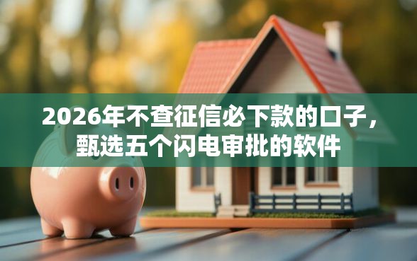2026年不查征信必下款的口子，甄选五个闪电审批的软件