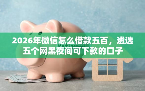 2026年微信怎么借款五百，遴选五个网黑夜间可下款的口子
