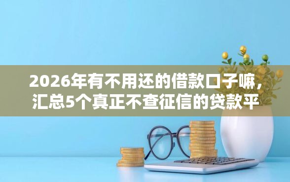 2026年有不用还的借款口子嘛，汇总5个真正不查征信的贷款平台