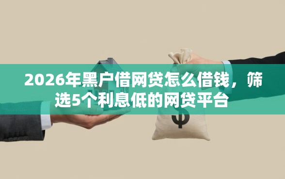 2026年黑户借网贷怎么借钱，筛选5个利息低的网贷平台