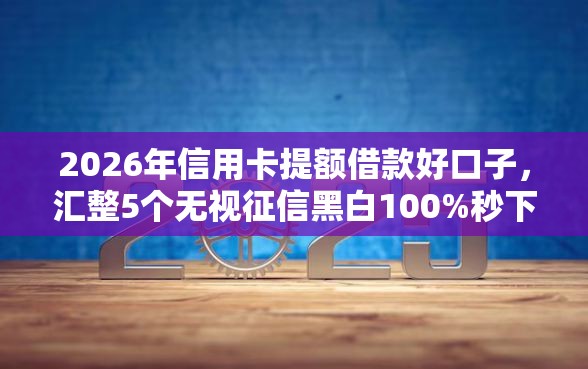 2026年信用卡提额借款好口子，汇整5个无视征信黑白100%秒下软件