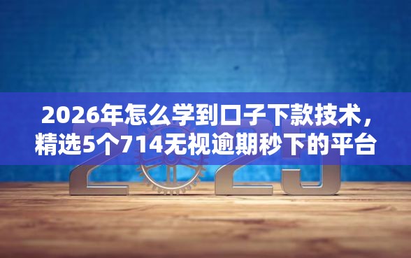 2026年怎么学到口子下款技术，精选5个714无视逾期秒下的平台