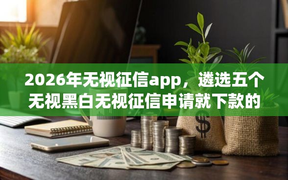 2026年无视征信app，遴选五个无视黑白无视征信申请就下款的平台