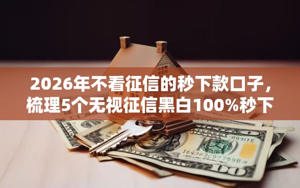 2026年不看征信的秒下款口子，梳理5个无视征信黑白100%秒下口子