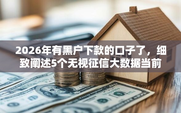 2026年有黑户下款的口子了，细致阐述5个无视征信大数据当前逾期下款的口子