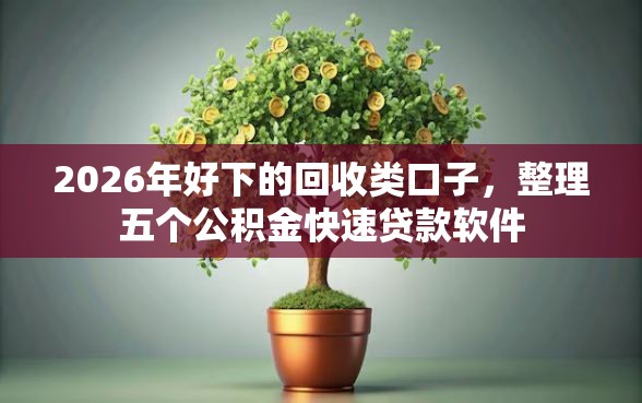 2026年好下的回收类口子，整理五个公积金快速贷款软件