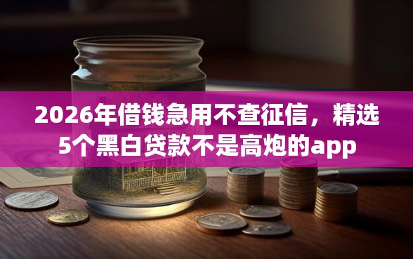 2026年借钱急用不查征信，精选5个黑白贷款不是高炮的app