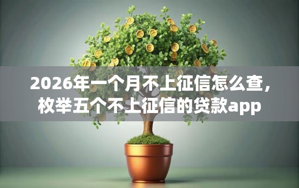 2026年一个月不上征信怎么查，枚举五个不上征信的贷款app