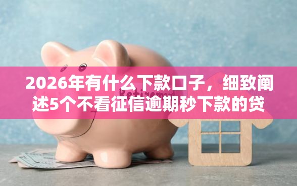 2026年有什么下款口子，细致阐述5个不看征信逾期秒下款的贷款