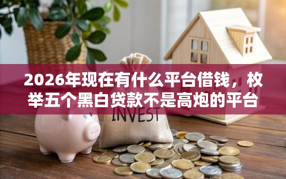 2026年现在有什么平台借钱，枚举五个黑白贷款不是高炮的平台