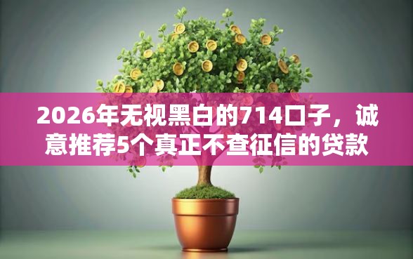 2026年无视黑白的714口子，诚意推荐5个真正不查征信的贷款平台